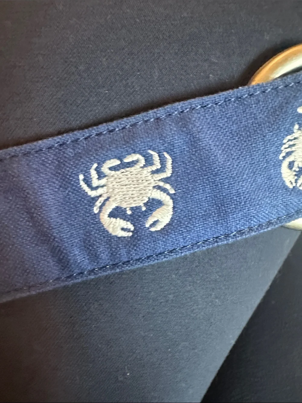 Gymboree Navy and White Reversible Kids Belt with Crab Motif
